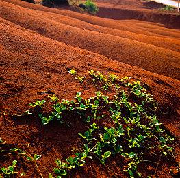 《Crux Diaries RPG》Steam上线 初代《辐射》风格复古